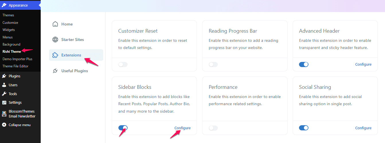 How to Configure Sidebar Blocks? - Rishi Theme